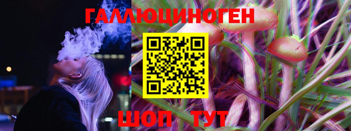 Псилоцибиновые грибы GOLDEN TEACHER  Псилоцибиновые грибы GOLDEN TEACHER  Вход с VPN  Тверь 